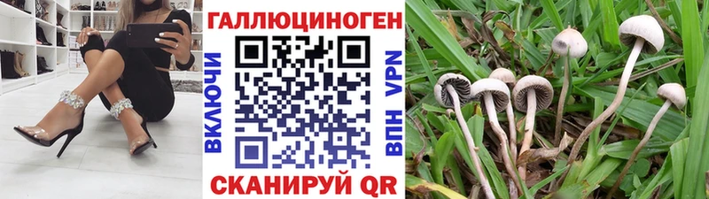 где купить наркоту  Людиново  MEGA вход  Галлюциногенные грибы MAGIC MUSHROOMS 